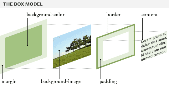 The Box Model