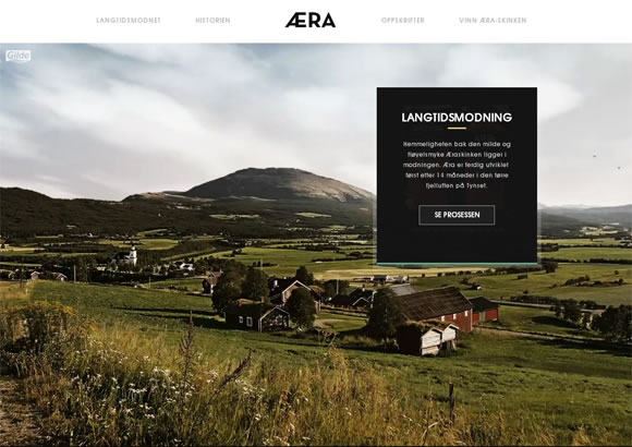 30 Stunning Website Designs Inspired by Nature and Landscapes